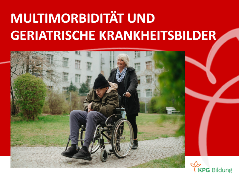 Grafische Illustration zum Kurs KPG-Bildung Bildungsangebote / Kurse